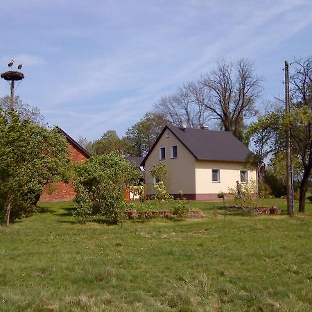 Ferienwohnung Am Storchennest Schmogrow Exterior foto