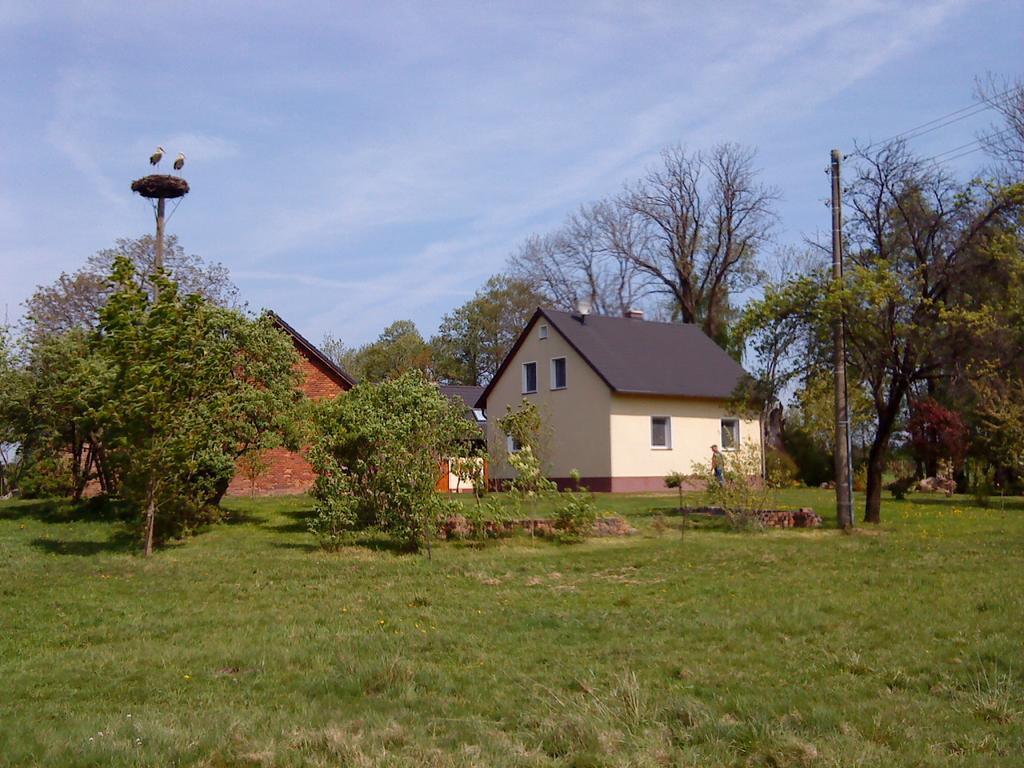 Ferienwohnung Am Storchennest Schmogrow Exterior foto