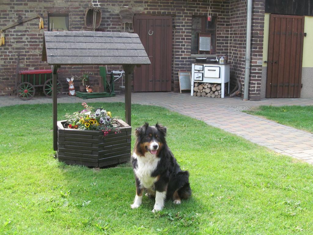 Ferienwohnung Am Storchennest Schmogrow Exterior foto
